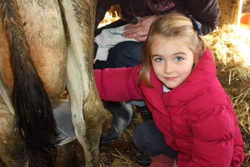 Margaux et la vache Marguerite