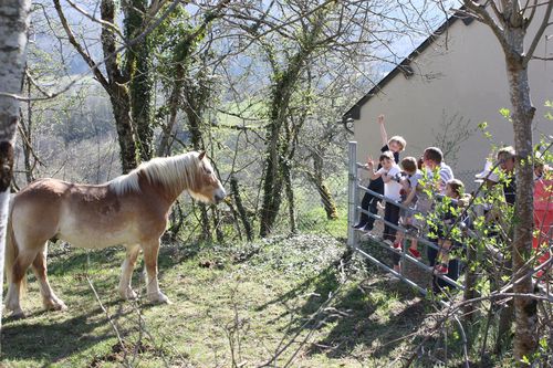 Pause animalière